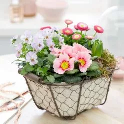 Garden Trug With Pink Spring Flowers | Garden Trug