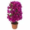 Bougainvillea Spectabilis Vera Deep Purple (PBR) | 14cm Pot -Perennial Plants Sales Store HP30000396 19da