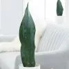 Sansevieria Masoniana Victoria | 12cm Pot -Perennial Plants Sales Store HP30000620 b7b0