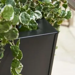 H90cm Zinc Galvanised Black Flared Square Planter - By Primrose™ -Perennial Plants Sales Store PP0007LA rollover image dd1b