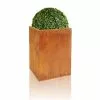 H75cm Large Corten Steel Planter -Perennial Plants Sales Store PP2027L main image ceb1