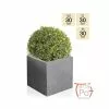 W30cm Fibrecotta Kadamus Cube Pot In Dark Grey Meteor Texture -Perennial Plants Sales Store PP2407M main image 8bda