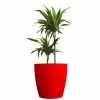 Eggpot Fibreglass Planters - (Medium) 45cm Tall -Perennial Plants Sales Store PP25017 main image 752c