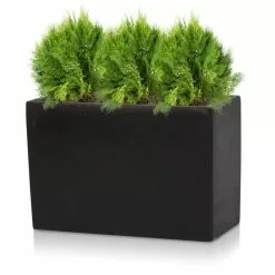 30cm Light Polystone Small Trough Pot In Black -Perennial Plants Sales Store PP3931 add image 2 a7a5