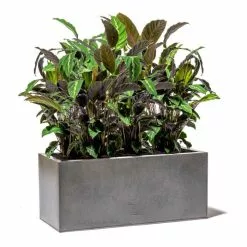 100cm Trough Zinc Silver & Black Textured Dipped Galvanised Planter -Perennial Plants Sales Store PP40757 add image 4 7a87