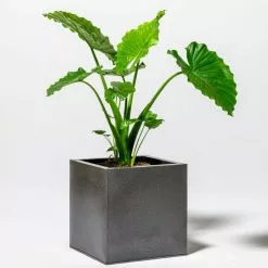 50cm Cube Zinc Silver & Black Textured Dipped Galvanised Planter -Perennial Plants Sales Store PP40766 add image 4 6c2a