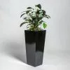 75cm Black Gloss Polystone Tall Flared Planter -Perennial Plants Sales Store PP40886 main image c433