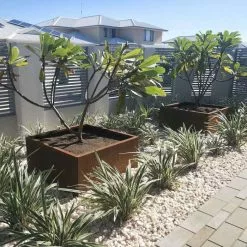 60cm Weathering Steel Square Planter Box By Straightcurve