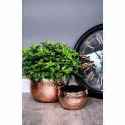 19cm Hammered Bowl Planter -Perennial Plants Sales Store PP678 PP679 L3 9ad5
