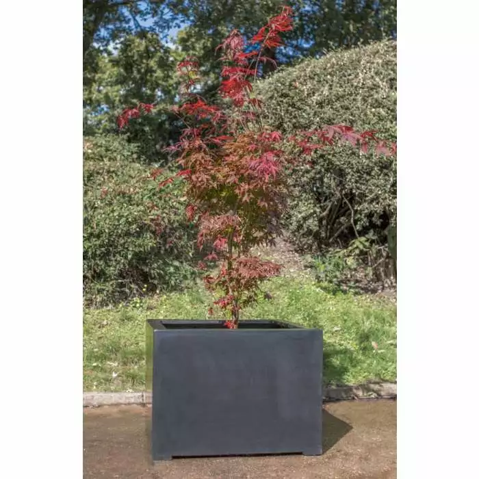 L100cm Titanic Polystone Cube Planter 4 L100cm Titanic Polystone Cube Planter - Image 2