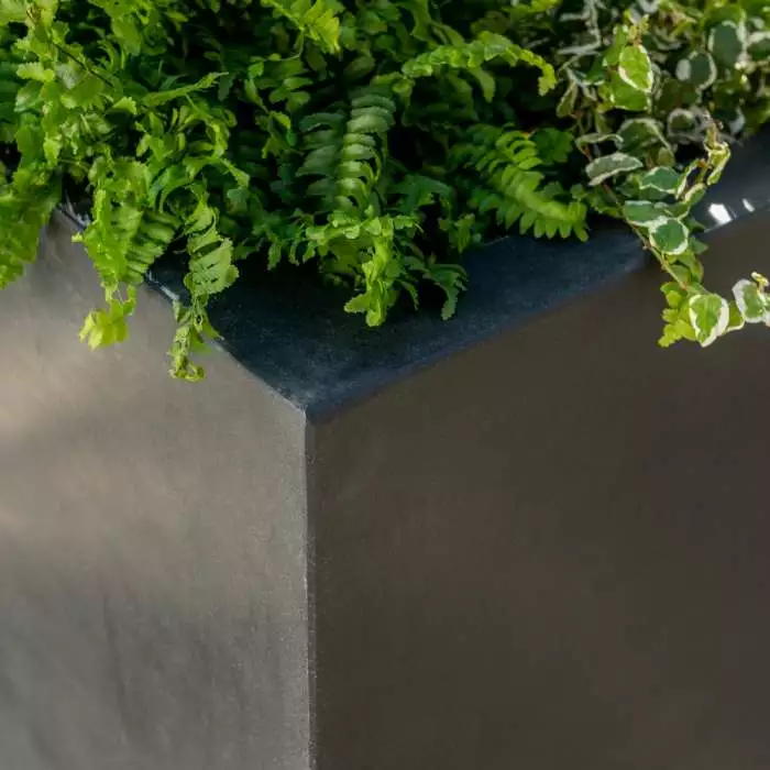 70cm Titanic Black Polystone Cube Planter 4 70cm Titanic Black Polystone Cube Planter - Image 2