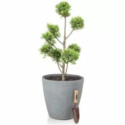 H57cm Volcanic Grey Cone Planter - By Primrose™ -Perennial Plants Sales Store PP7774 add image 3 83c9