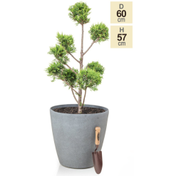 H57cm Volcanic Grey Cone Planter - By Primrose™ -Perennial Plants Sales Store PP7774 main image 9f3f