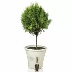 H44.5cm Smokey Cream Round Tuscan Planter - By Primrose™ -Perennial Plants Sales Store PP7793 add image 1 a61e