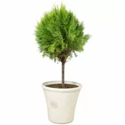 H44.5cm Smokey Cream Round Tuscan Planter - By Primrose™ -Perennial Plants Sales Store PP7793 add image 2 b841