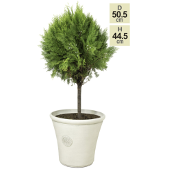 H44.5cm Smokey Cream Round Tuscan Planter - By Primrose™ -Perennial Plants Sales Store PP7793 main image b16c