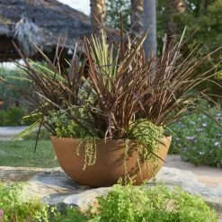55cm Aged Rust Effect Bowl Planter - By Primrose™ -Perennial Plants Sales Store PP7879 add image 4 8806