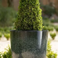 53cm Tall Round Planter In Dark Green -Perennial Plants Sales Store PP80BLKL 1 0170