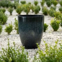 53cm Tall Round Planter In Dark Green -Perennial Plants Sales Store PP80BLKL 2 dedd