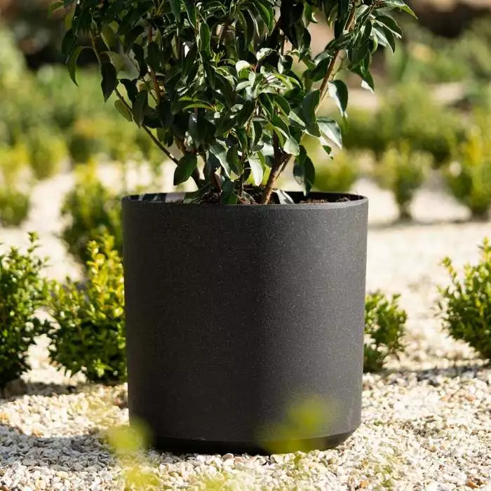 35cm Cylinder Planter In Black 5 35cm Cylinder Planter In Black - Image 3