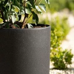 35cm Cylinder Planter In Black 12 35cm Cylinder Planter In Black -Perennial Plants Sales Store PP83BLKM 2 04c6