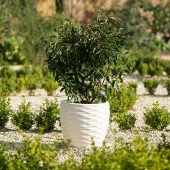 43cm Round Bilbao Planter In Ivory