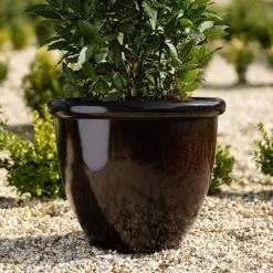 54cm Round Planter In Burgundy 11 54cm Round Planter In Burgundy -Perennial Plants Sales Store PP85BLKM PP85BLKS 1 689c