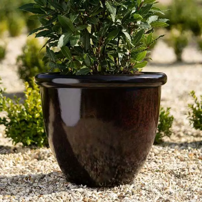 54cm Round Planter In Burgundy 5 54cm Round Planter In Burgundy - Image 3