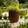 45cm Round Ridged Planter In Brown -Perennial Plants Sales Store PP86BRNM 101d