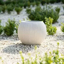 30cm Bowl Ridged Planter In Beige -Perennial Plants Sales Store PP87BGES 2 c2c1