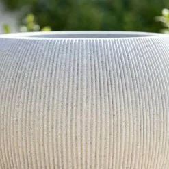 30cm Bowl Ridged Planter In Beige -Perennial Plants Sales Store PP87BGES 3 5c9f
