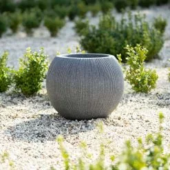 30cm Bowl Ridged Planter In Grey -Perennial Plants Sales Store PP87GRYS 3 2232