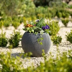 30cm Bowl Ridged Planter In Grey -Perennial Plants Sales Store PP87GRYS 8a74