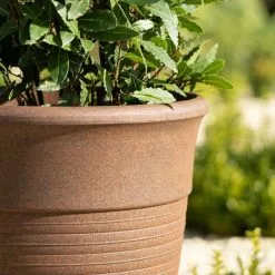 57cm Tall Round Planter In Rust -Perennial Plants Sales Store PP88RSTL PP88RSTM 2 27a9