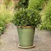 41cm Sage Glazed Terracotta Pot -Perennial Plants Sales Store PR30012104 1112