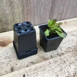 Vegetable Pots 18 X 9cm