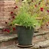 48cm Ocean Glazed Green Terracotta Perennial Pot 2 48cm Ocean Glazed Green Terracotta Perennial Pot -Perennial Plants Sales Store PR30014489 efdd