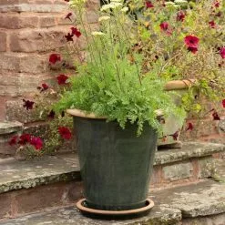 48cm Ocean Glazed Green Terracotta Perennial Pot