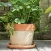 33.5cm Oatmeal Glazed Pot With Terracotta Rim -Perennial Plants Sales Store PR30014493 7cb7