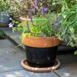 33.5cm Black Glazed Pot With Terracotta Rim