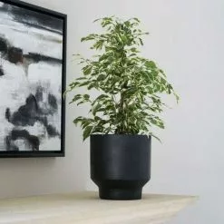 17cm Anthracite Sapa Matt Planter