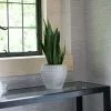 19cm Seia Planter Light Grey -Perennial Plants Sales Store PR30014865 267e