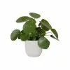 22cm White Vibes Fold Round Silky Pot Cover -Perennial Plants Sales Store PR30014912 3bdb