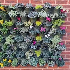 Living Wall Vertical Planting Kit