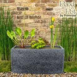 W80cm 'Pond In A Pot' Trough Black Fibreglass Planter Outdoor Use