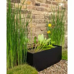 H24cm Pond-In-A-Trough Black Wildlife-Friendly Zinc Planter -Perennial Plants Sales Store WF9907 add image 2 8312