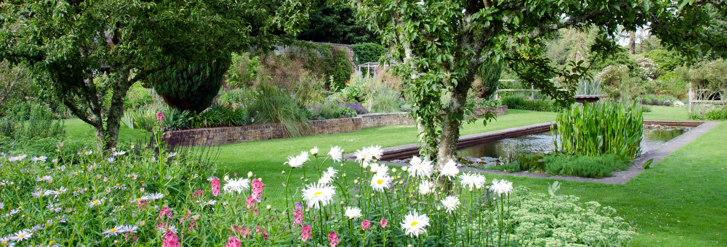 Perennial Plants Sales Store -Perennial Plants Sales Store garden banner 08